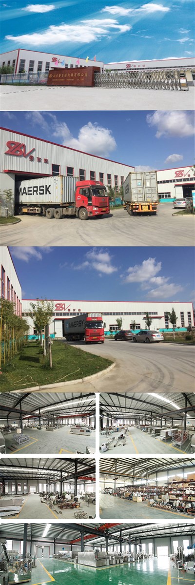 2019 hot sales fully automatic pet food extruder machine plant equipment production line