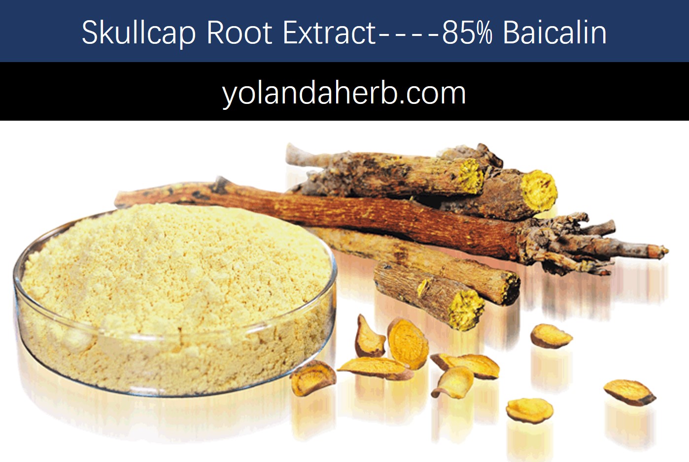 Hot sale high quality 100 Pure Proanthocyanidins 95 European Grape Seed Extract