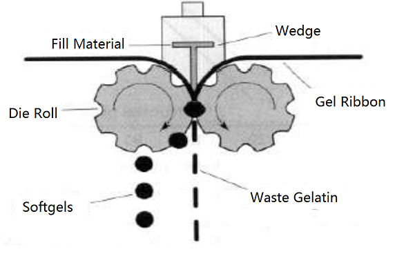 Regular Shape Softgel Rolling Dies