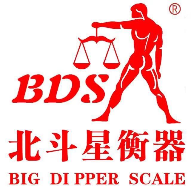 BDSDJ502A electronic balance