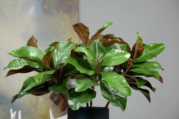Artificial Magnolia Leaves Artificial Leaves