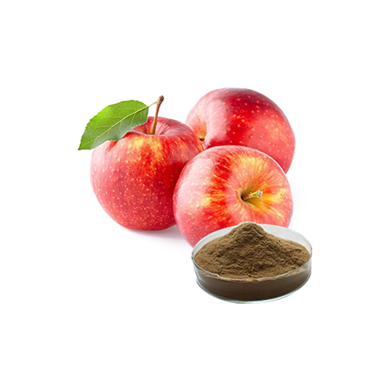 Factory supply apple extract Price 80 Polyphenol 8098 Phloridzin