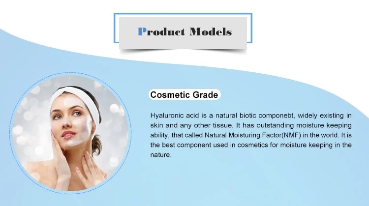 Food Grade Sodium Hyaluronate Buy HA Hyaluronic Acid Powder