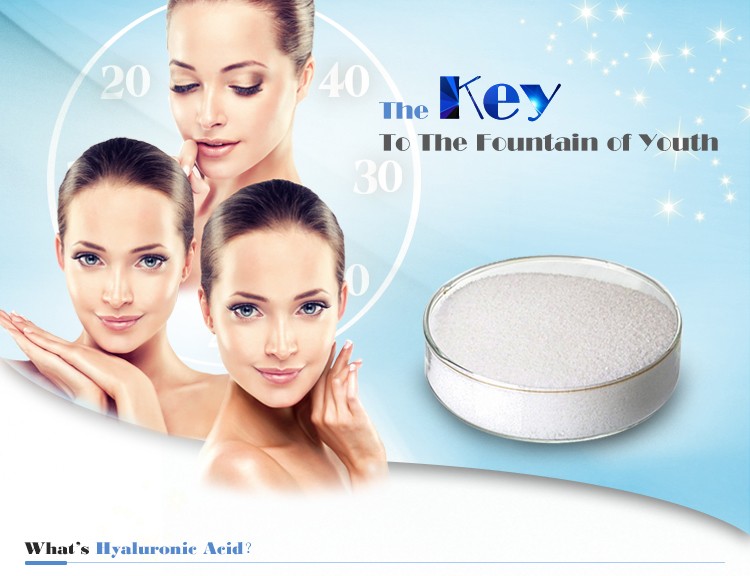 Food Grade Sodium Hyaluronate Buy HA Hyaluronic Acid Powder