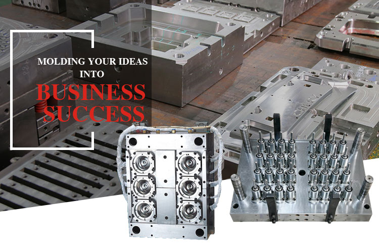 Professional manufacturers make PET Preform Mould
