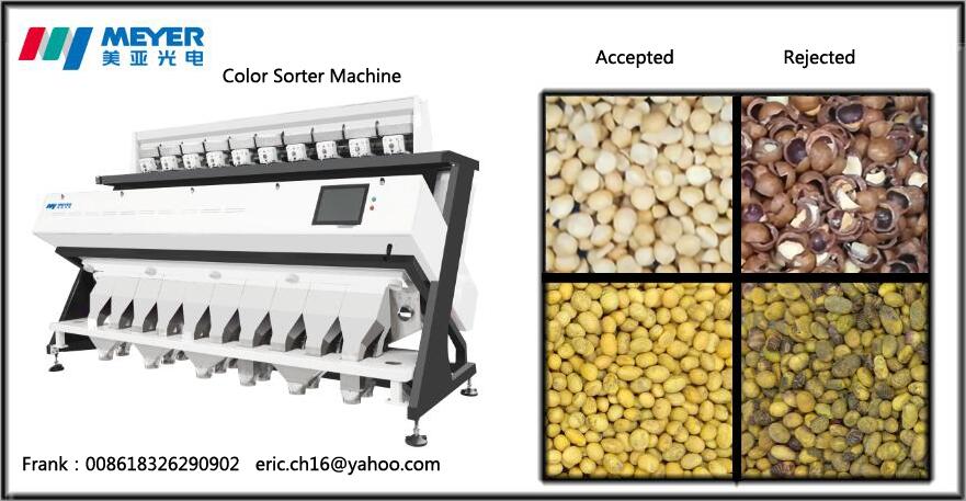 Dried Fruits Optical Sorter Dried Vegetables Color Sorter with RGB CCD Cameras