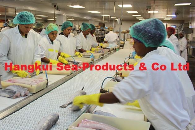 Frozen Nile Perch Fillets Fish Fillets