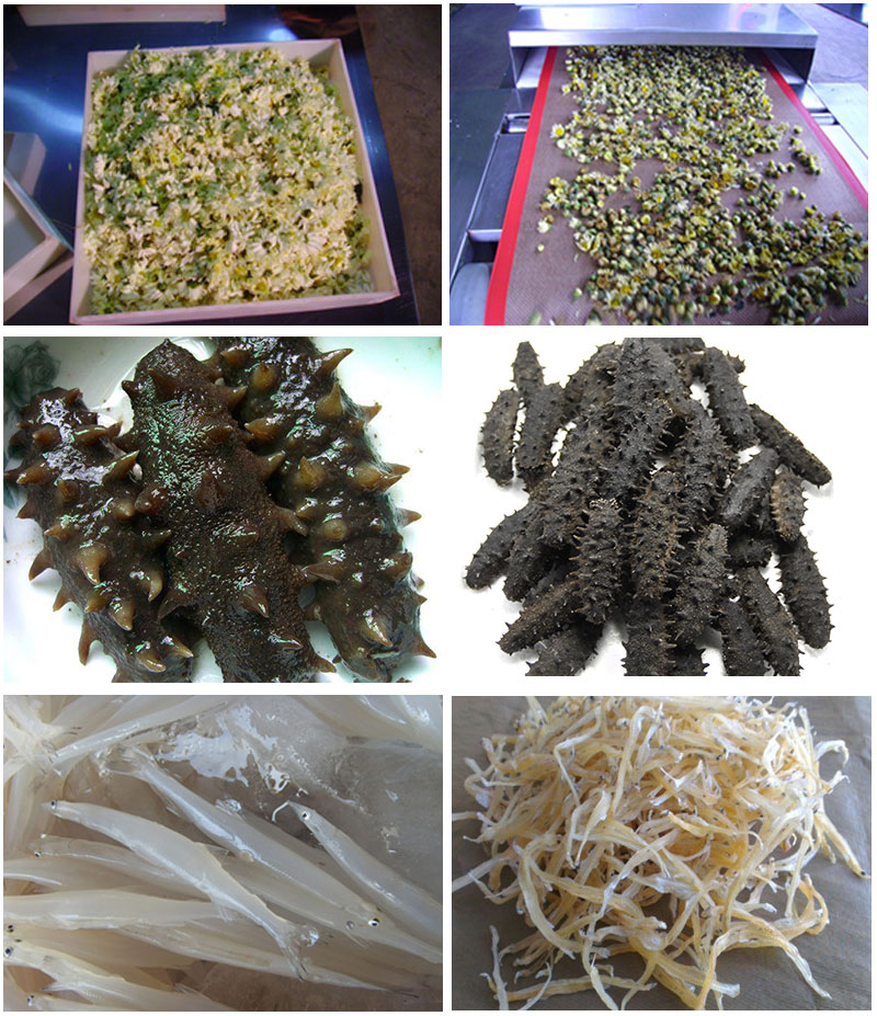 directly manufacturer vegetable dryer machine vacuum dryer for fruit and vegetable