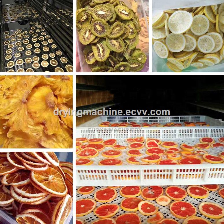 Industrial Air Energy Food Dryer Fruit Drying Machine Fruit Dehydrator