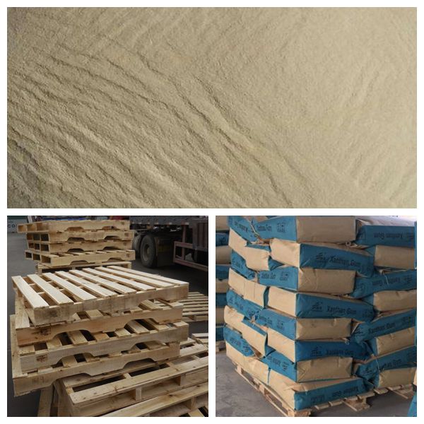 Xanthan Gum mesh 200 food grade