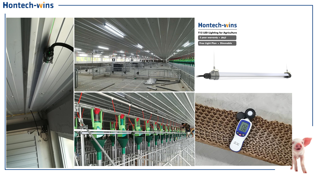 waterproof pig farming light tube waterproof tube light LED pig house lighting