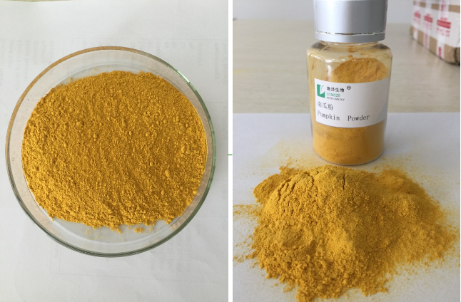 100 pure natural Pumpkin Extract Pumpkin Seed Extract