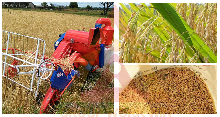 factory supply mini rice combine harvester