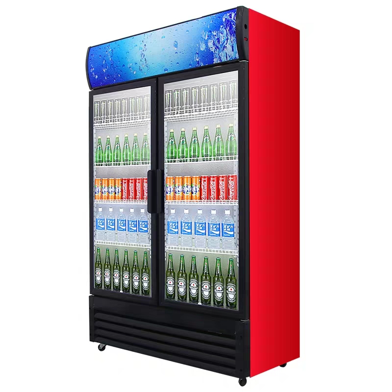 Commercial Refrigerator Doubledoor Vertical Refrigerator Supermarket Refrigeration Preservation Aircooled Display