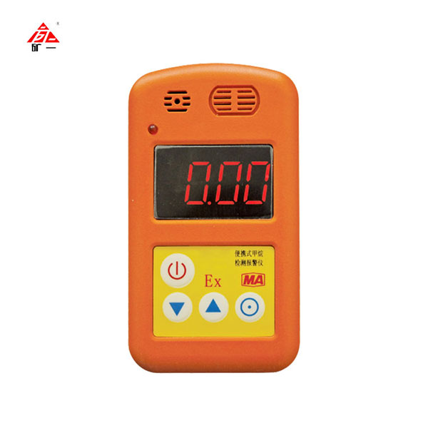 CJL1001000 CH4 and H2S Gas Detector