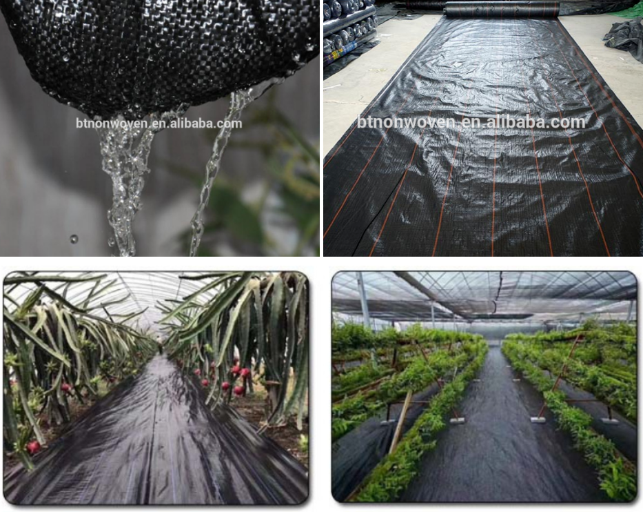 PP Ground Cover and Weed Barrier Fabrics Weed Mat in Strawberry Garden