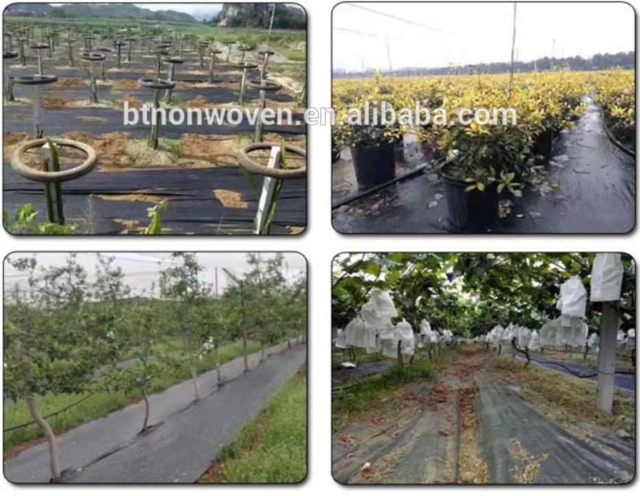 PP Ground Cover and Weed Barrier Fabrics Weed Mat in Strawberry Garden