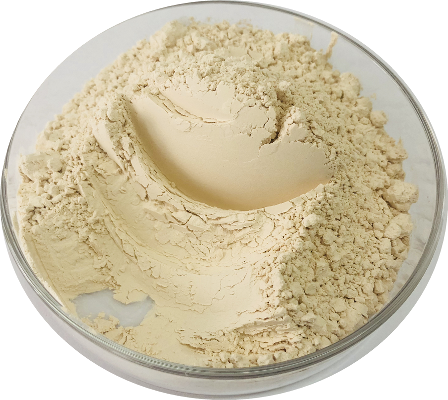 China Hot Sale GM Free Low Price Natural and Organic Rice Protein Powder De6582