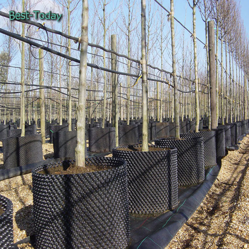 Wholesale Garden Planter Air Pruning Pot Container Pruning Black Plant Nursery Pots PE PVC Plastic Tree Root Control