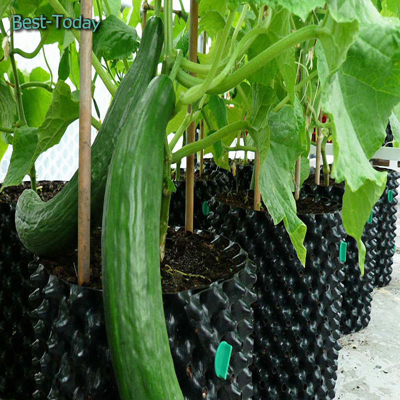 Wholesale Garden Planter Air Pruning Pot Container Pruning Black Plant Nursery Pots PE PVC Plastic Tree Root Control