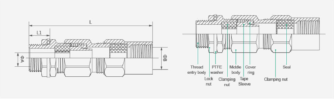 Double compression metal cable glands IP66 with male threadand female thread