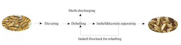 Advanced Oats dehuller or sheller