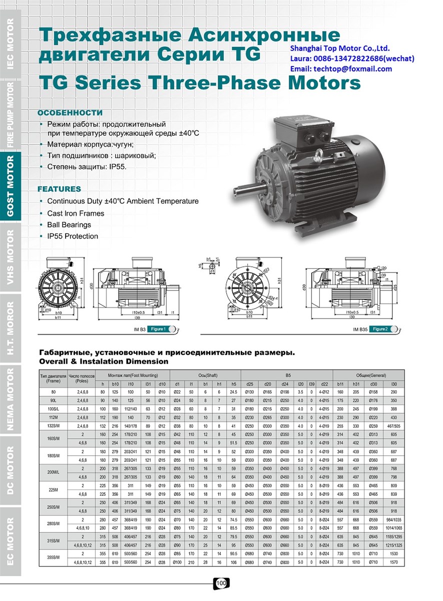 TECHTOP MOTOR GOST motor cast iron LV motors