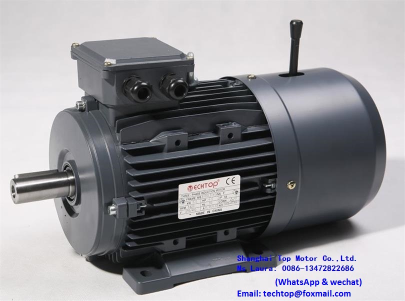 MSB series Asynchronous ThreePhase Brake Motors with Squirrel Cage RotorDirect Current Brake TECHTOP motor