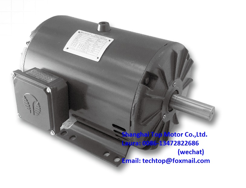 TD series NEMA EPACT Premium Efficiency Rolled Steel Frame 3Phase ODP Motors TECHTOP motor