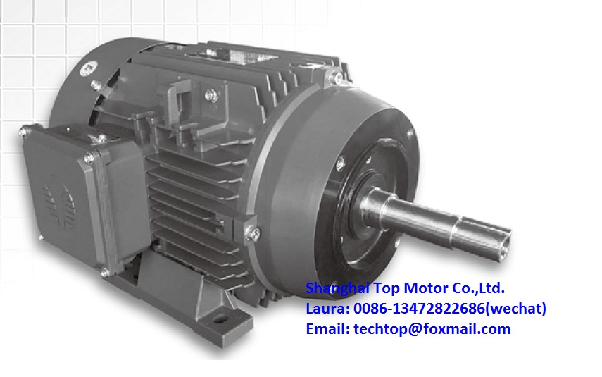 NEMA 56J JM JP Pump Motors TECHTOP MOTOR