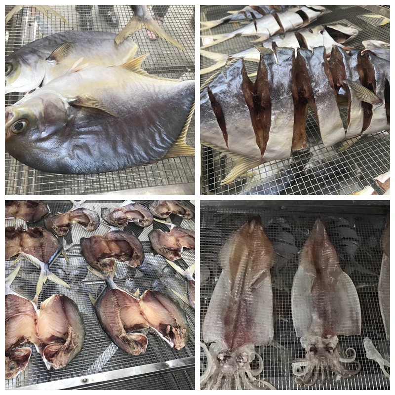 Seafood dehumidifier fishshrimp drying machine
