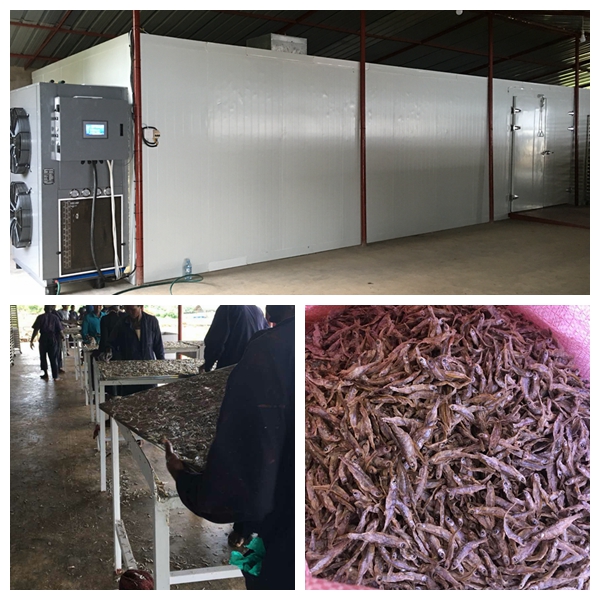 Seafood dehumidifier fishshrimp drying machine