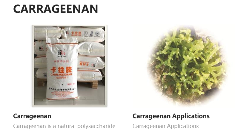 High quality and low price Carrageenan