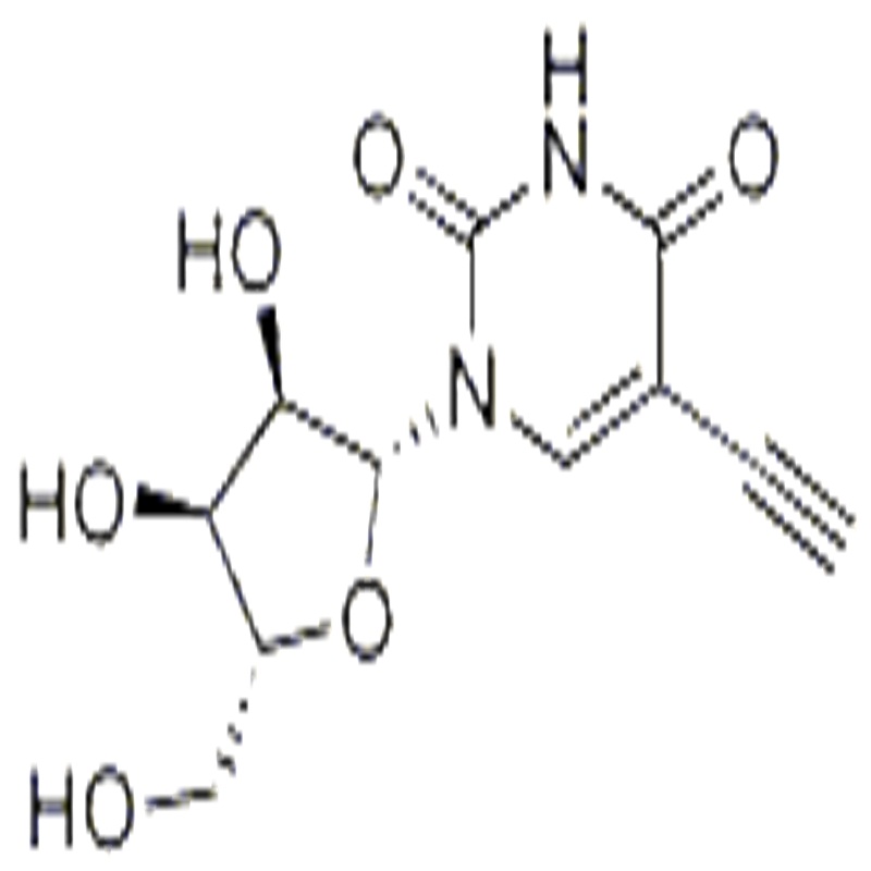 5EthynylUridine 69075429 5Modified Nucleosides