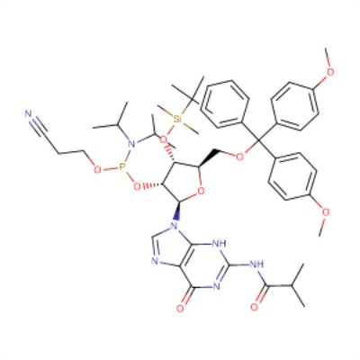 3TBDMSiburG Phosphoramidite 1445905510