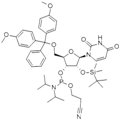 rU Phosphoramidite 118362031