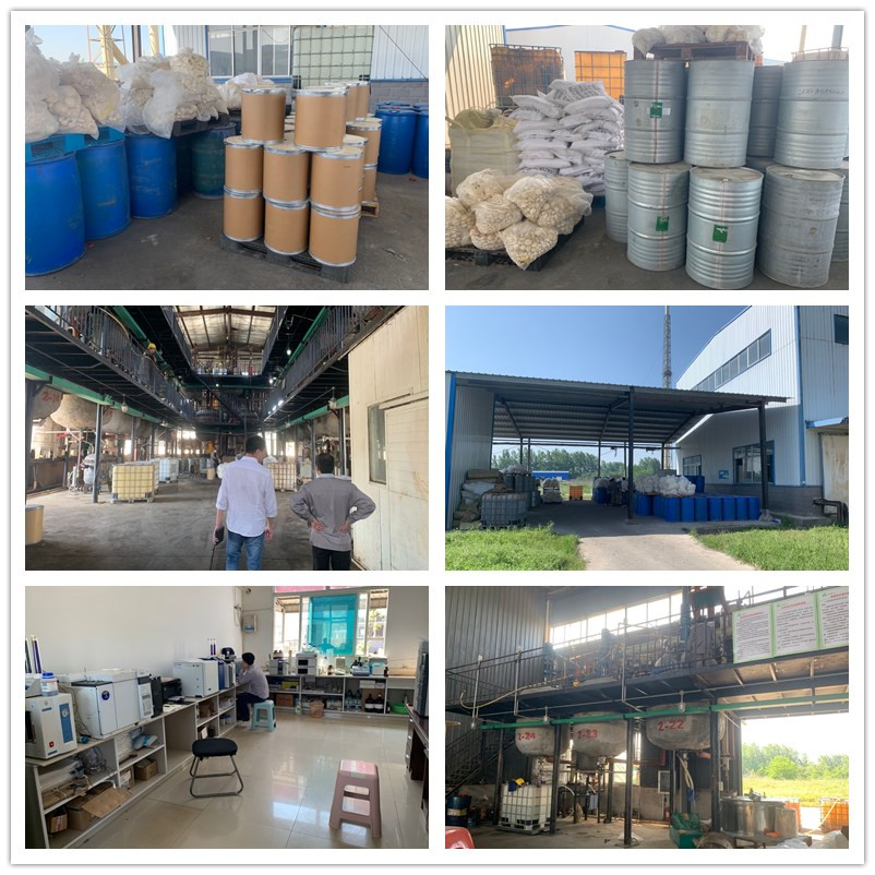 Benzeneacetic Acid 16648445 bmk powder