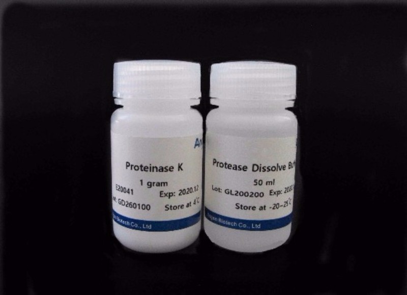 Hipure Proteinae K Endoproteinase K
