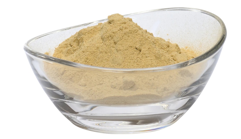 Ghritkumari Aloe Vera Powder of Aloe Vera Plant