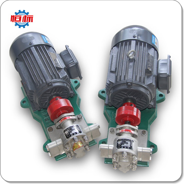 Hengbiao stainless steel KCB electric motor vegetable oil olive palm edible peanut oil food grade liquid transfer pump