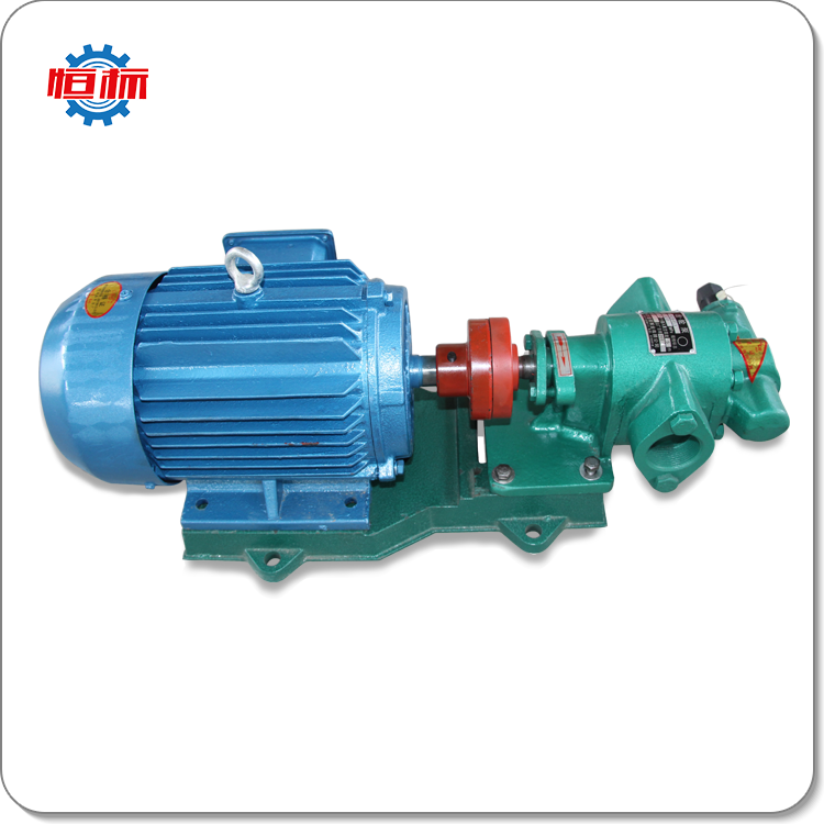 Food Grade stainless steel gear pumps palm olive edible oil vegetable soybean oil transfer pump