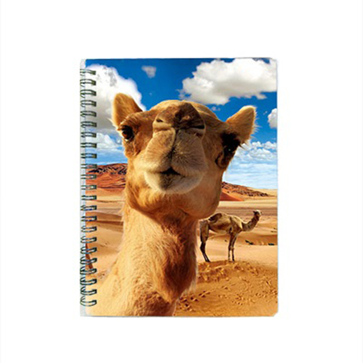 3D lenticular printing notebooks for office 3D lenticular printing notebooks for office