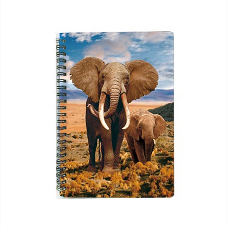 3D lenticular printing notebooks for office 3D lenticular printing notebooks for office