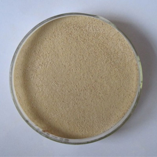 Alkaline ProteaseAlkaline protease was extracted by liquid culture of Bacillus licheniformis NO2709