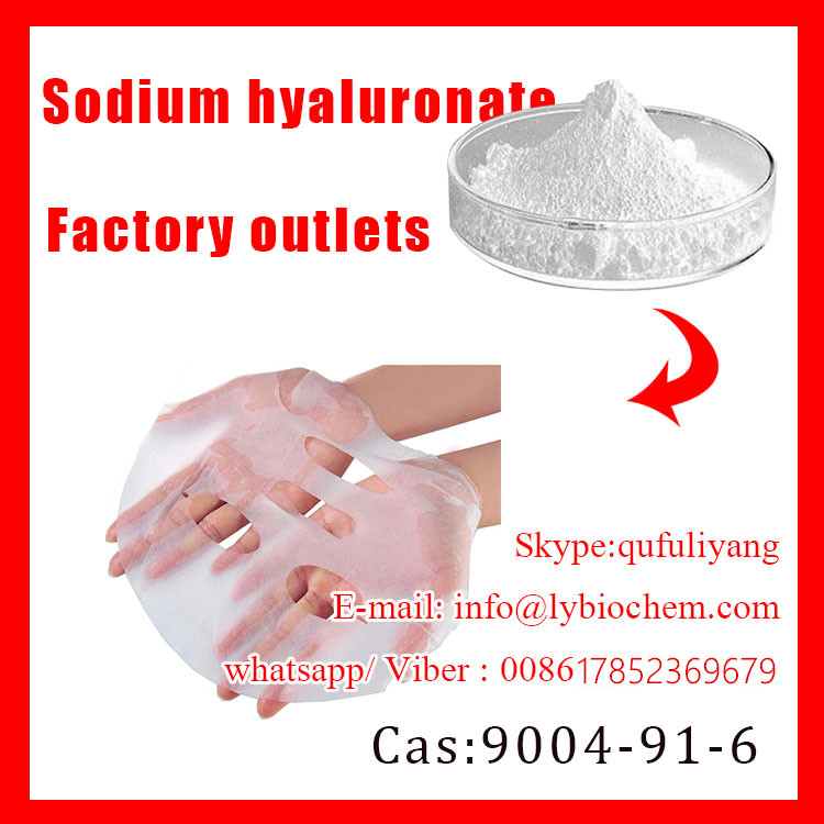 High Quality Sodium Hyaluronate CAS No 9004619