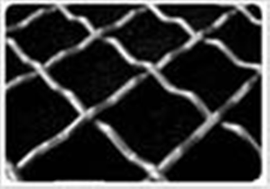 Stainless Steeel Crimped Wire Mesh for Sport Fense