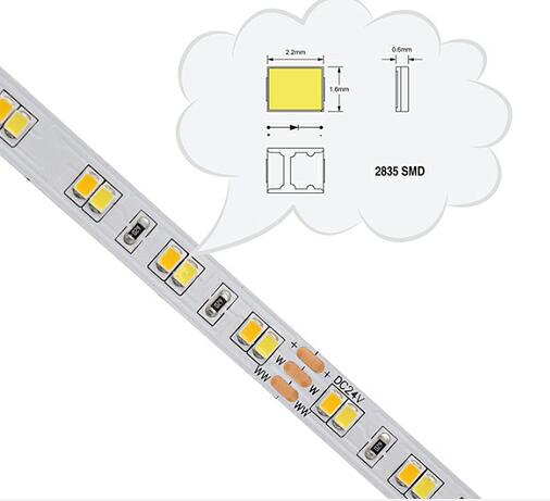 SMD2835 Tunable White 120ledsm LED Strip Light
