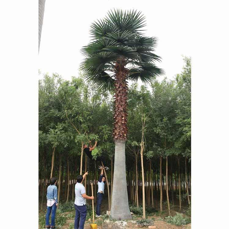 Artificial Washington Palm TreeIntroduction of Outdoor Artificial Washington Palm Tree