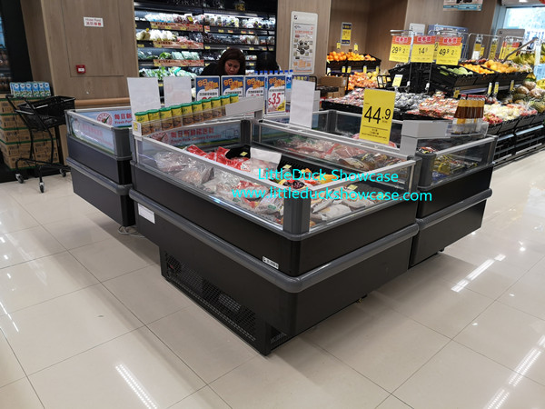 Supermarket Plugin Freezer Refrigerator for Meat Seafood Ice Cream