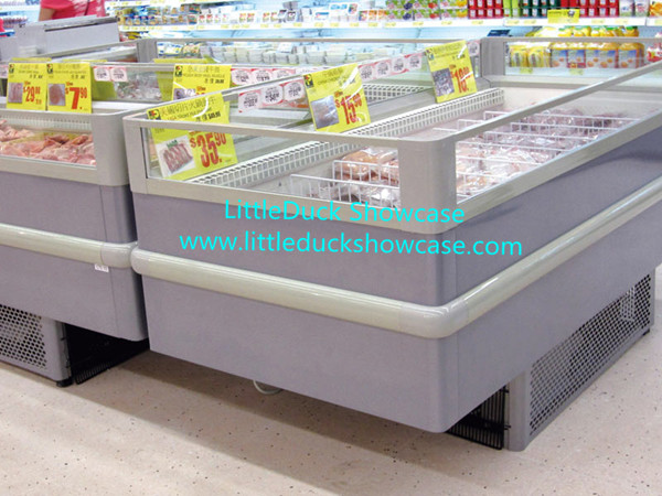 Supermarket Plugin Freezer Refrigerator for Meat Seafood Ice Cream